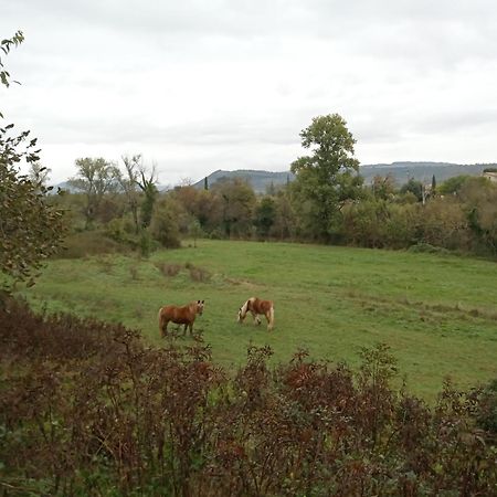 Maison Sud Ardeche Lavilledieu Lavilledieu  외부 사진